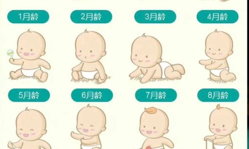 肼屈嗪别名-肼屈嗪片说明书网 - 网站提供肼屈嗪是哪一类药小常识、肼屈嗪是哪一类药